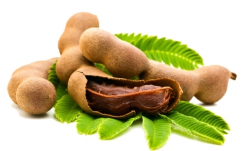 Lợi ích từ trái me